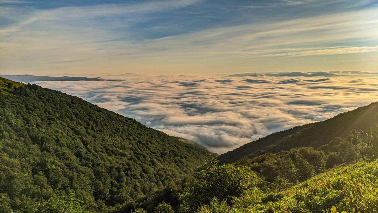 Gostynna Rodyna Otel Izki Dış mekan fotoğraf