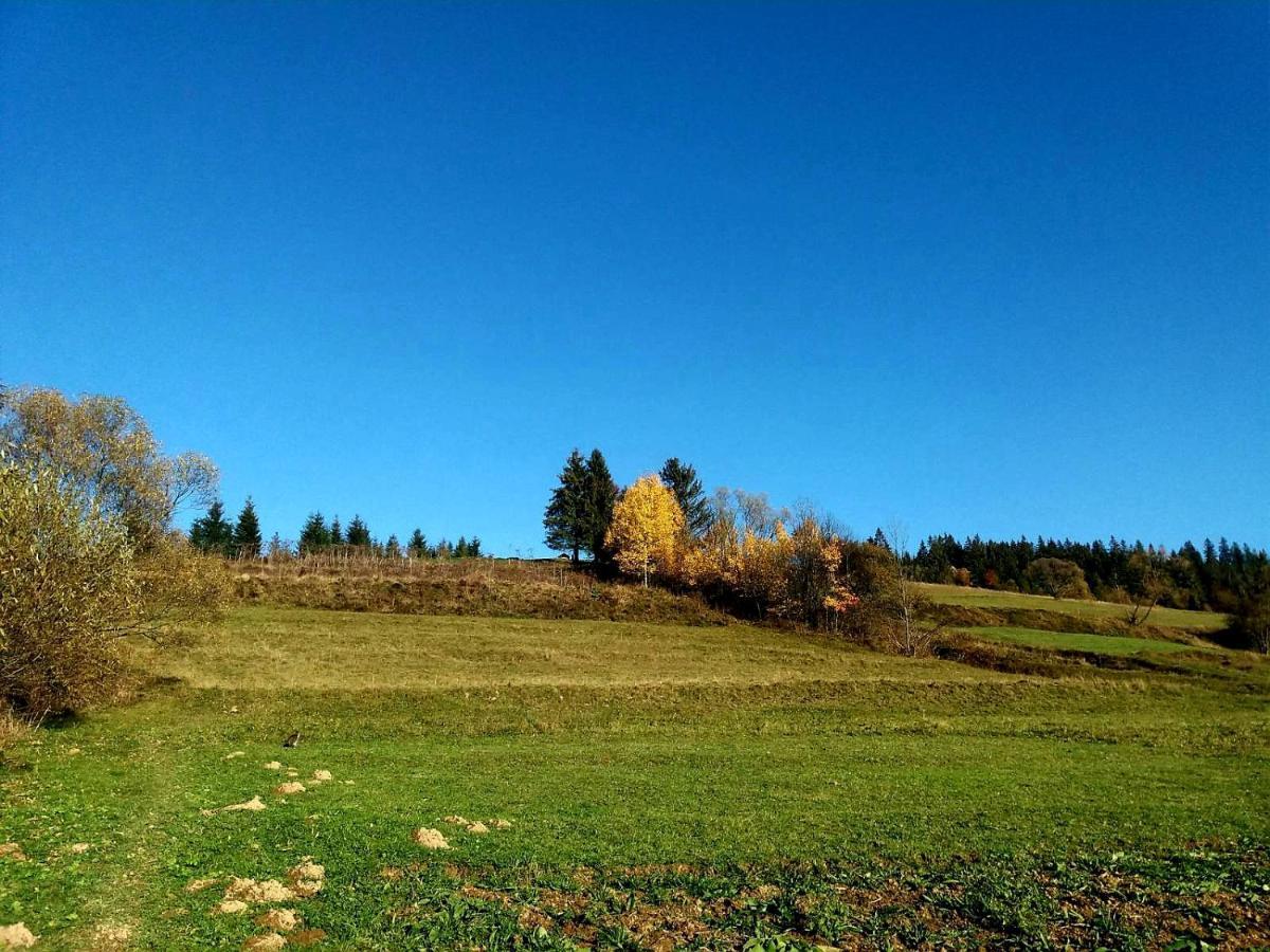 Gostynna Rodyna Otel Izki Dış mekan fotoğraf
