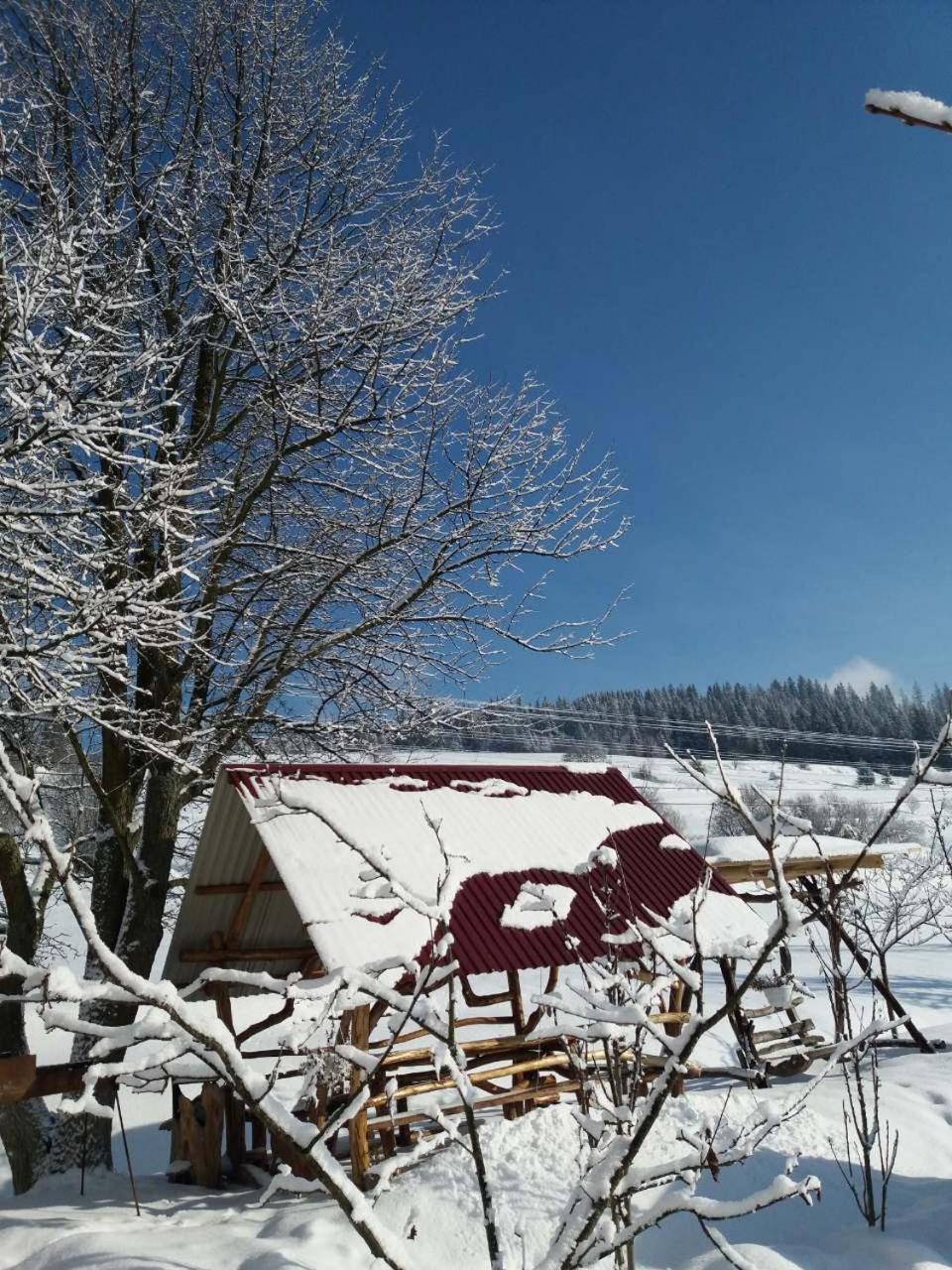 Gostynna Rodyna Otel Izki Dış mekan fotoğraf