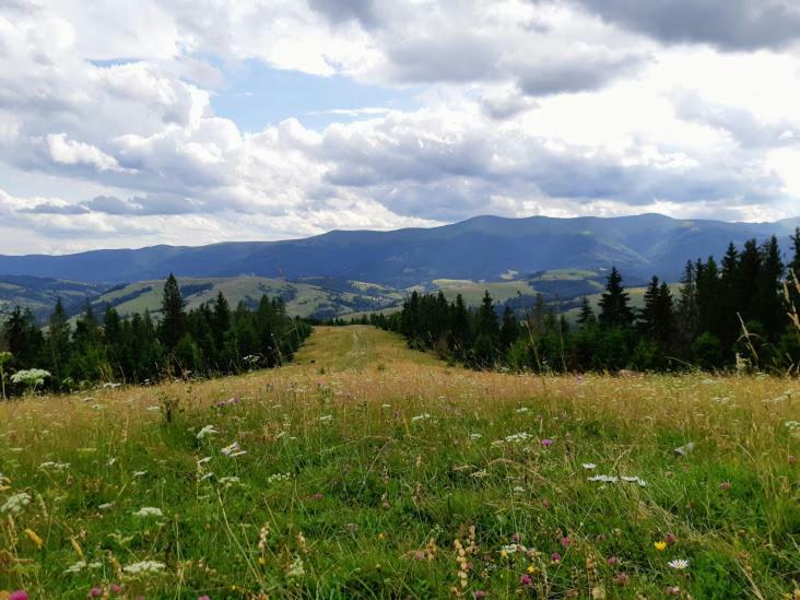Gostynna Rodyna Otel Izki Dış mekan fotoğraf